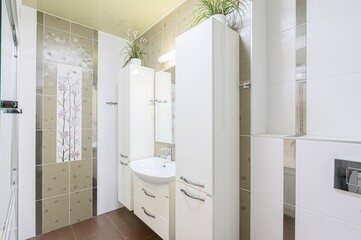 interior apartment room bathroom, sink, decorative elements, toilet