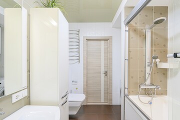 interior apartment room bathroom, sink, decorative elements, toilet