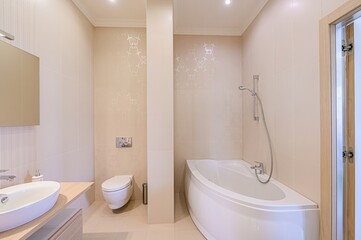 interior apartment room bathroom, sink, decorative elements, toilet