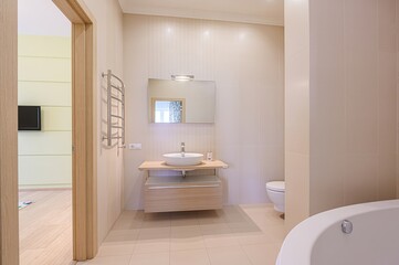 interior apartment room bathroom, sink, decorative elements, toilet