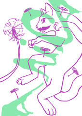 frog on a flower cat