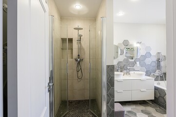 interior apartment room bathroom, sink, decorative elements, toilet