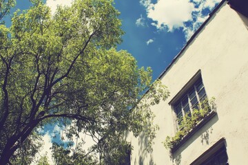 Urban Oasis, Lush Green Canopy