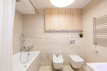 interior apartment room bathroom, sink, decorative elements, toilet