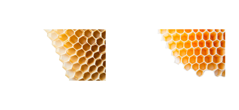 Beehive honeycomb structure showing hexagonal cells and patterns