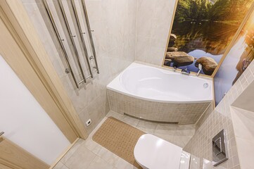 interior apartment room bathroom, sink, decorative elements, toilet