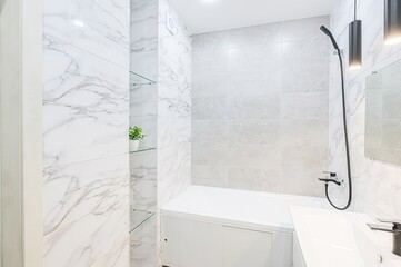 interior apartment room bathroom, sink, decorative elements, toilet