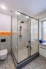 interior apartment room bathroom, sink, decorative elements, toilet
