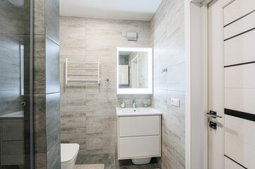 interior apartment room bathroom, sink, decorative elements, toilet