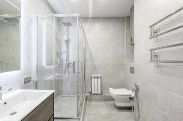 interior apartment room bathroom, sink, decorative elements, toilet
