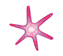 Obraz premium starfish isolated on white background