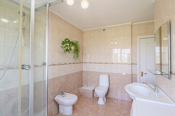 interior apartment room bathroom, sink, decorative elements, toilet