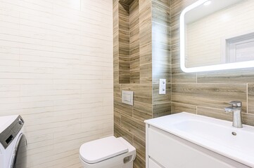 interior apartment room bathroom, sink, decorative elements, toilet