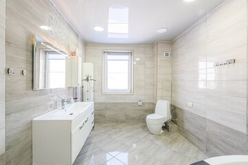 interior apartment room bathroom, sink, decorative elements, toilet