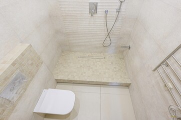 interior apartment room bathroom, sink, decorative elements, toilet