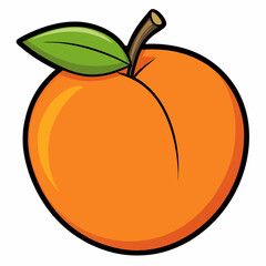 vector illustration of an orange