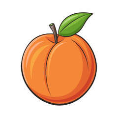 pumpkin isolated on white background