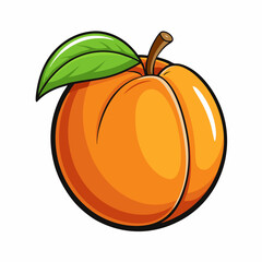 pumpkin isolated on white background