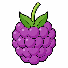 vector illustration of a ripe raspberry