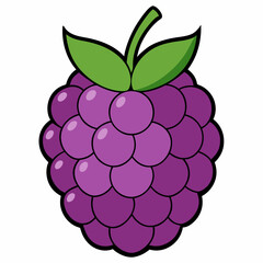 vector illustration of a raspberry