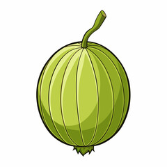 vector illustration of a green melon