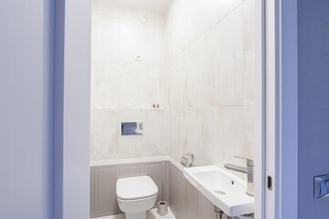 interior apartment room bathroom, sink, decorative elements, toilet