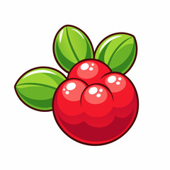vector illustration of ripe raspberry