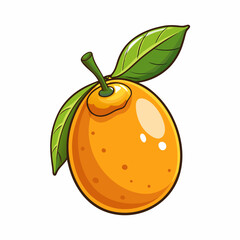 vector illustration of orange fruit