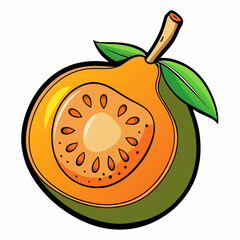 vector illustration of an orange