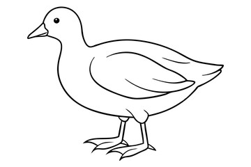 Minimalist Moorhen Vector