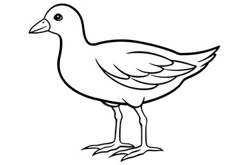 Minimalist Moorhen Vector