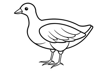 Minimalist Moorhen Vector