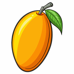 vector illustration of orange fruit