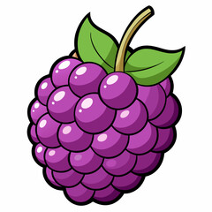 raspberry and blackberry