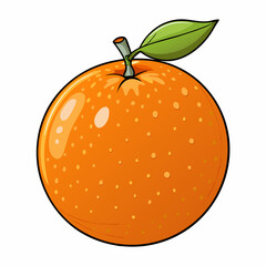 vector illustration of an orange