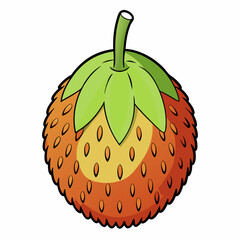 vector illustration of an orange fruit