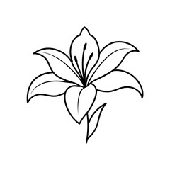 Fototapeta premium Lily flower bold line art vector illustration