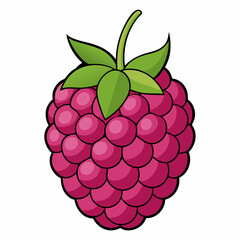 vector illustration of a raspberry
