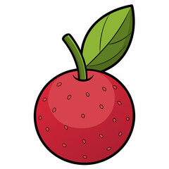 vector illustration of an apple