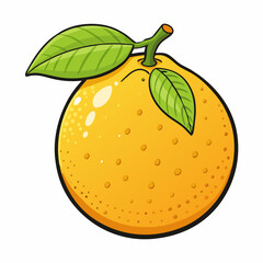 orange fruit vector illustration