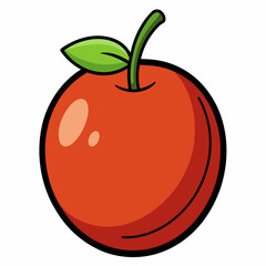 tomato vector illustration