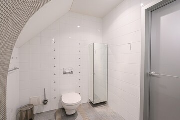 interior apartment room bathroom, sink, decorative elements, toilet