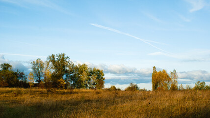 Obraz premium Rural autumn landscape, yellow grass, trees and blue sky