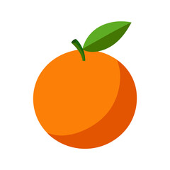 Vector illustration of an Orange