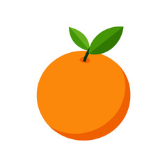 Orange fruit vector illustration