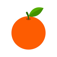 Orange fruit vector illustration