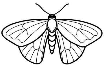Minimalist Moth Art