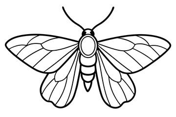 Minimalist Moth Art