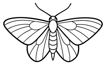 Minimalist Moth Art