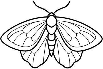 Minimalist Moth Art